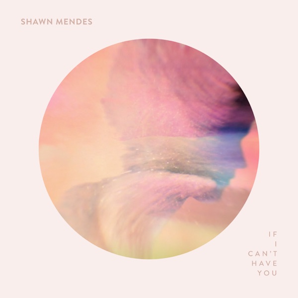 If I Can't Have You — Shawn Mendes