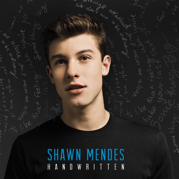 Stitches — Shawn Mendes