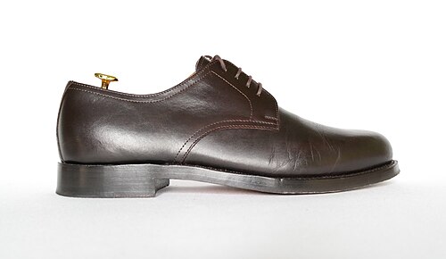 Derby Shoe