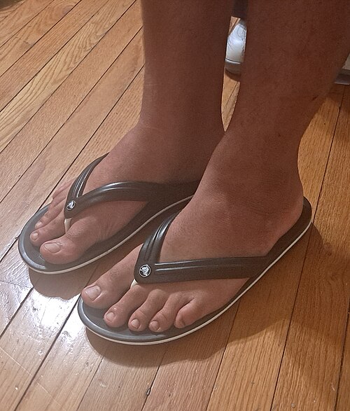 Flip-Flop