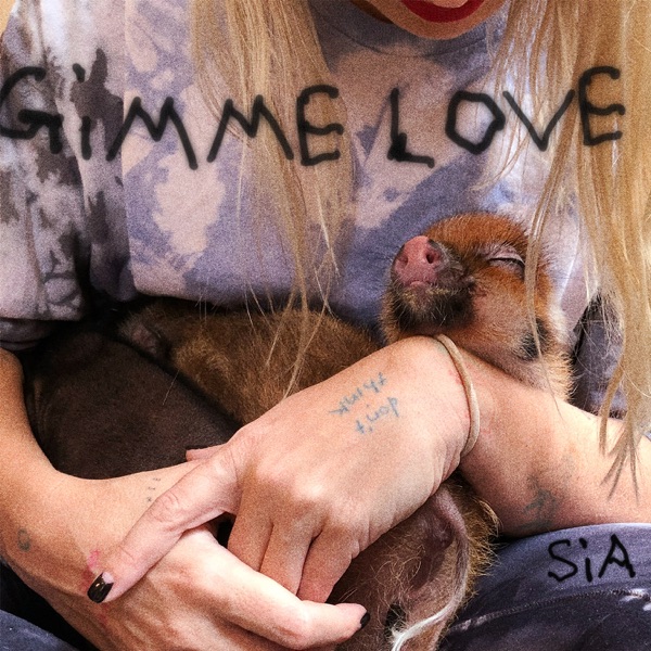 Gimme Love — Sia