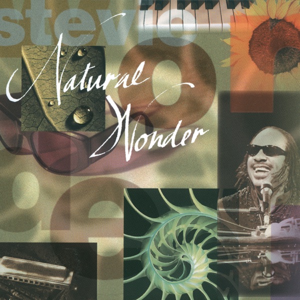 Natural Wonder (Live) — Stevie Wonder