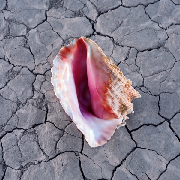 Run for Cover — The Killers
