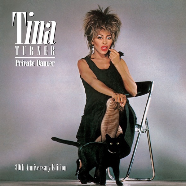 We Don't Need Another Hero (Thunderdome) — Tina Turner