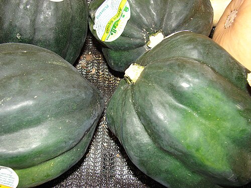 Acorn Squash