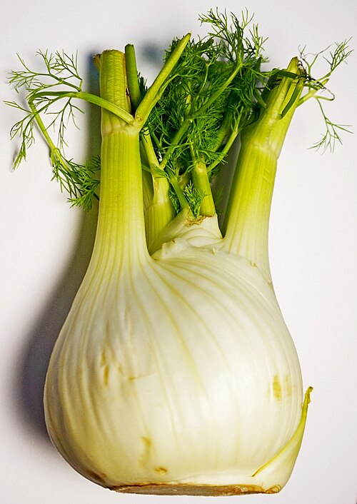 Fennel
