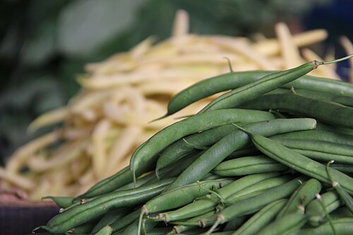 Green Bean